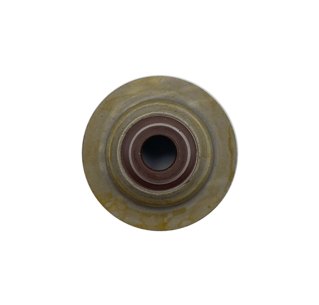 Engine Valve Oil Seal