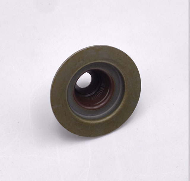 Engine Valve Oil Seal