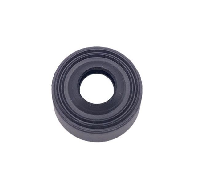 Motor Shaft Oil Seal