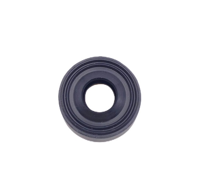 Motor Shaft Oil Seal